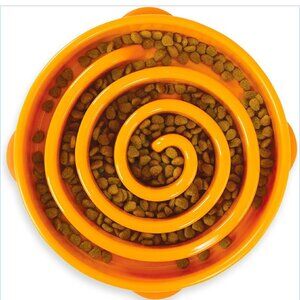 OUTWARD HOUND Fun Feeder Dog Bowl Interactive Slow Eating 10" x 2"